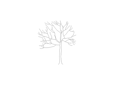 乔木种植 园林常见植物品种图例及说明