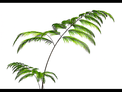 绿色枝叶植物模型