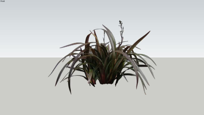 火焰TM 画 植物 其他 大螯虾 蜈蚣