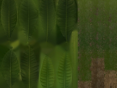 绿植墙