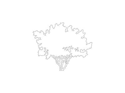 乔木种植 组团植物平立面图