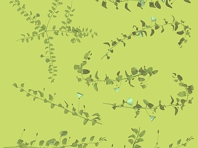 绿植墙