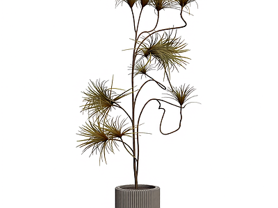盆栽植物装饰品