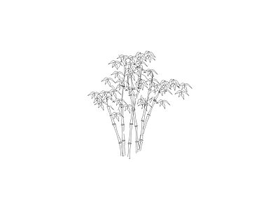 灌木种植 备用植物图例