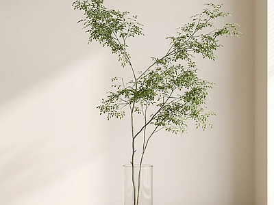 造型绿植乔木