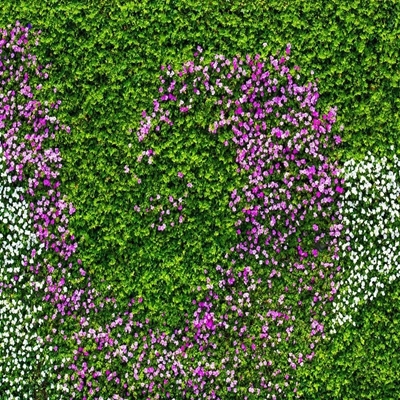 草地