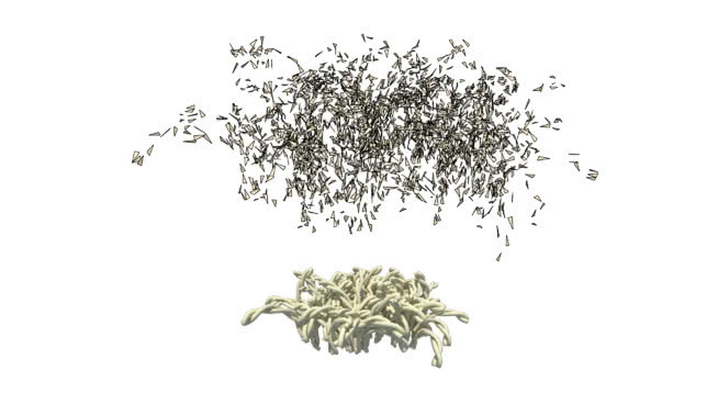 V-射线代理-菲奥斯帕拉蒂斯费尔普多斯（毛毯） 画 植物 其他 湖 蜜蜂