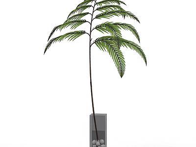 带盆绿植模型