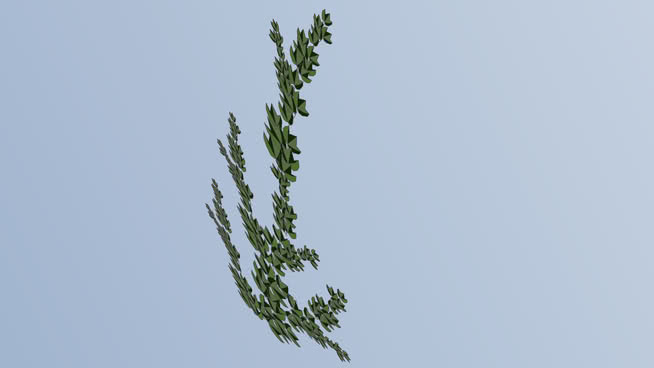 墙纸植物 天空 迷雾 鸢 秃鹫