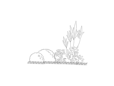 灌木种植 植物图块