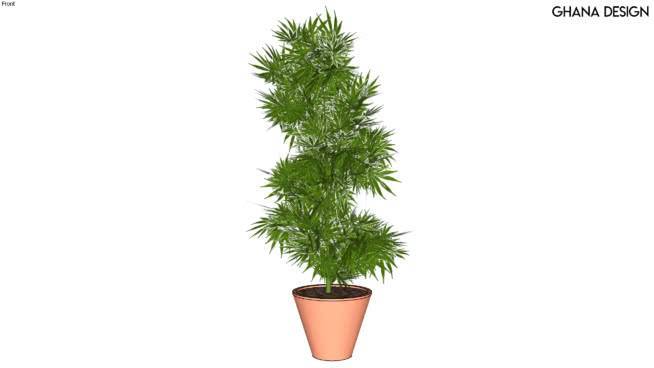 大麻植物 植物 其他 花瓶 花盆 杯子