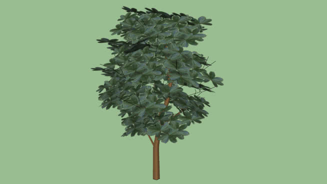 三维树低多边形 植物 其他 画 迷雾 火柴