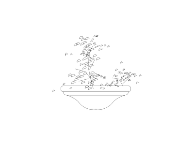 灌木种植 植物立面