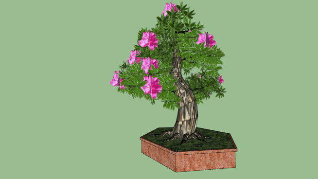 azalee盆栽 花盆 其他 蜂鸟