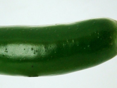 蔬菜