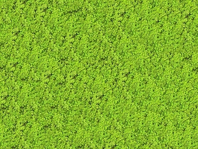 绿植墙