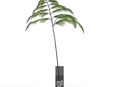 带盆绿植模型