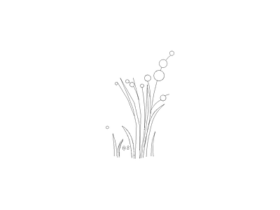 花 备用植物图例