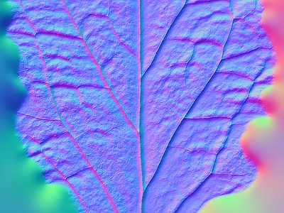 其他法线