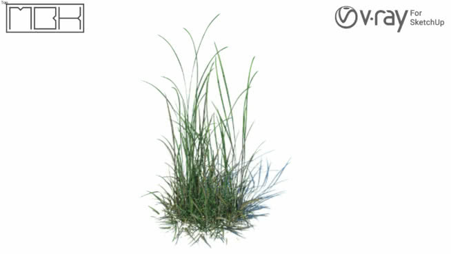 Grass, hight poly, vray ready (066) 其他 草地 植物 画 明信片