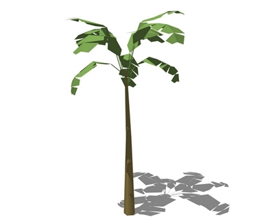 3D棕榈科植物
