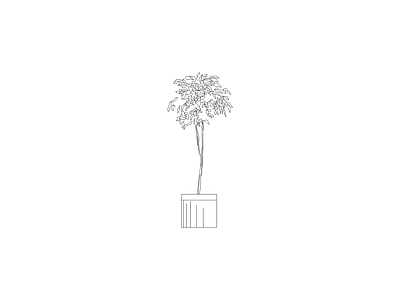 绿植 植物图块