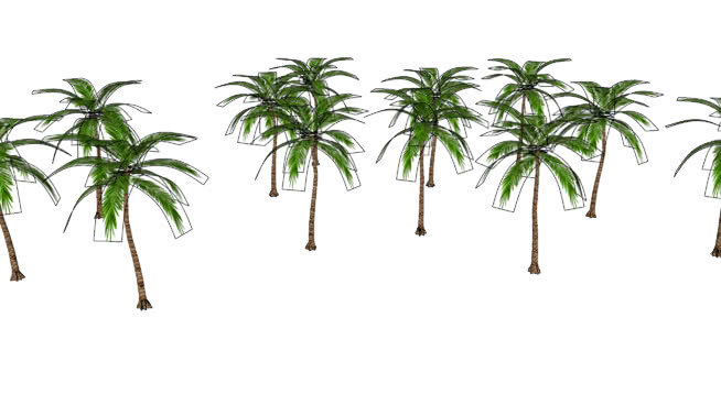 棕榈树动态构件 画 其他 沙滩 植物 树林