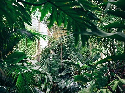 外景