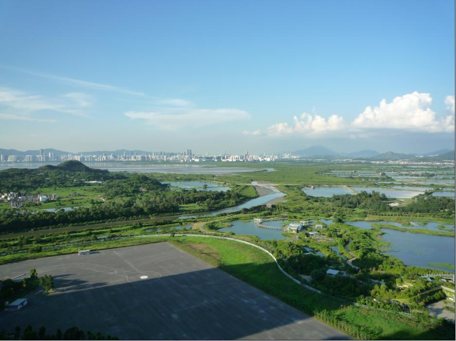 窗景