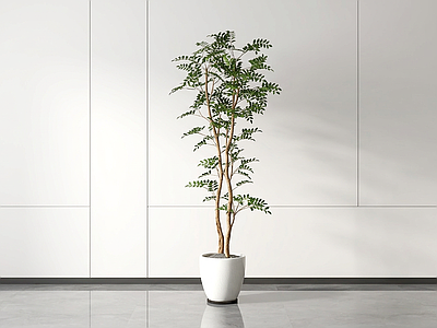 艺术绿植盆栽