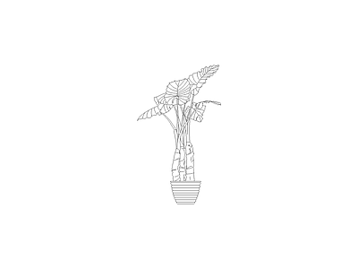 绿植 植物图块