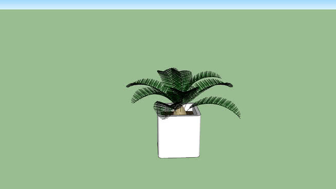 花 钱 其他 饰品 植物 盆