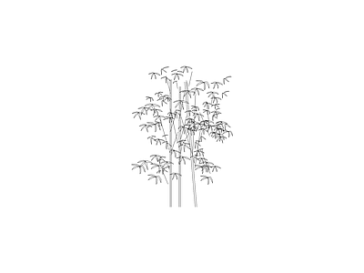 乔木种植 常用植物图例