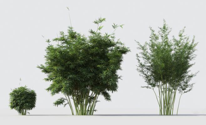 现代绿植竹子组合