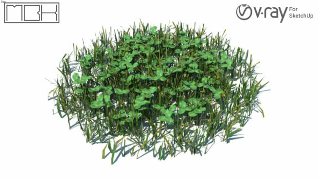 草，高聚合，VRY准备（023） 其他 钞票 饰品 画