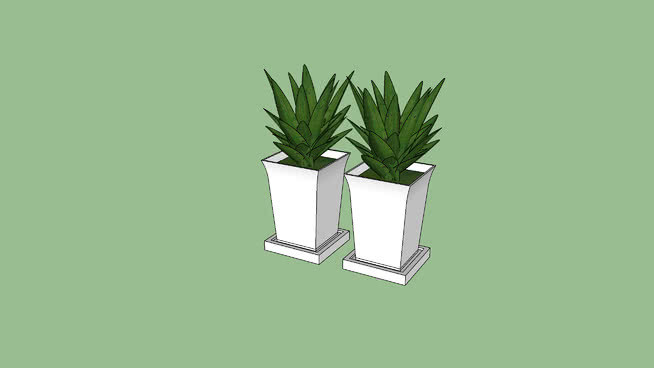 脉管、花瓶、植物、盆栽植物 其他 植物 家居物品 花瓶 显示器