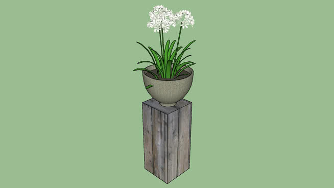 植物盆栽底座 植物 其他 花瓶 画 挂钟