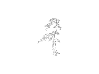 乔木种植 植物图块