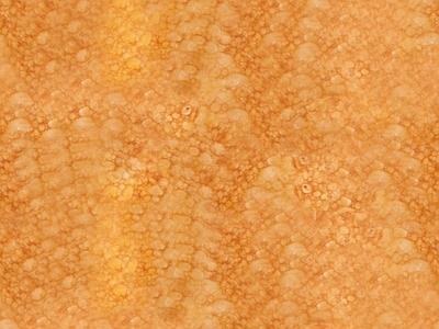 洞石
