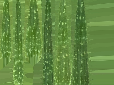 绿植墙