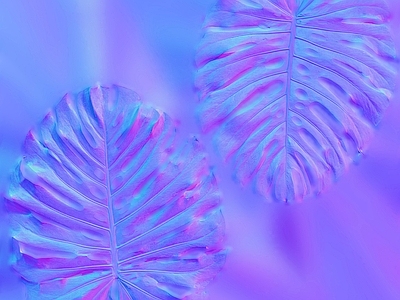 其他法线