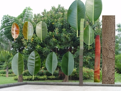 绿植墙