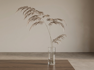 小型造型绿植草本植物