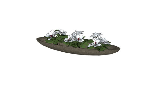 花盆 其他 盘子 饰品 植物 蜡烛