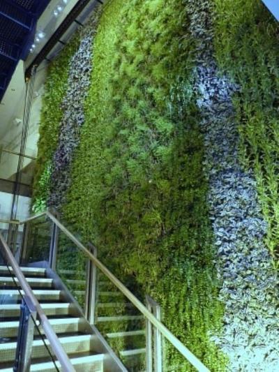 植物墙 贴图 自然元素