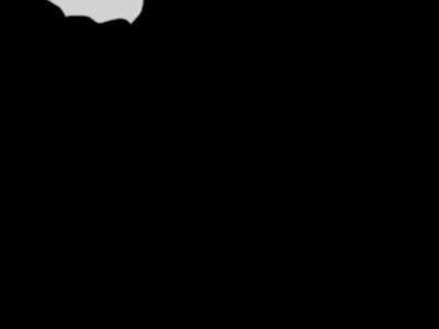 高光