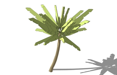 3D棕榈科植物
