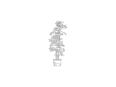绿植 植物立面