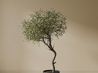 造型绿植盆栽