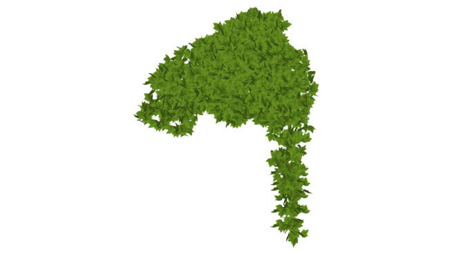 小道消息 植物 西兰花 其他 画 项链